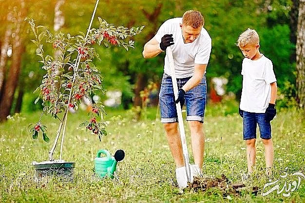 تاثیرات باغبانی 